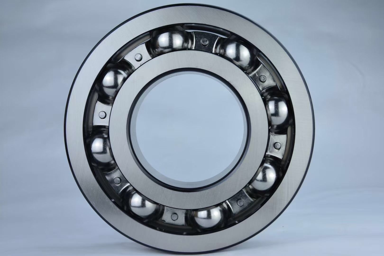 10008032RS bearing